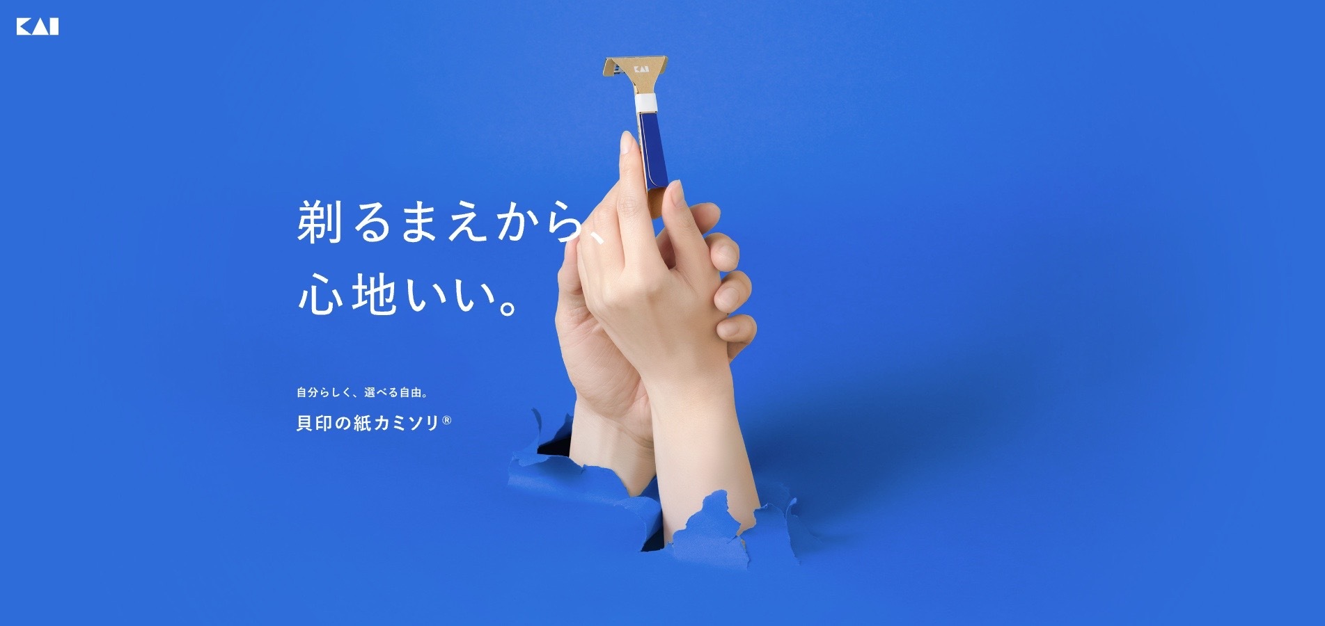 【LP】貝印の剃刀